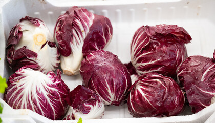 Fototapeta premium background of vegetables cabbage