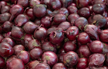 background of vegetables onions