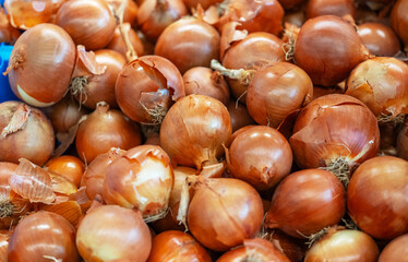 background of vegetables onions