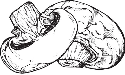 Mushroom composition of champignons, hand-drawn black and white graphics, translated into vector. Illustration isolated for printing on fabric, packaging, prints, stickers, posters, cards