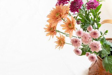 花,菊,いいマムの日,11月6日,高潔