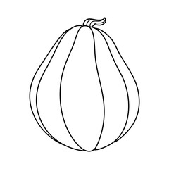 Autumn pumpkin simple line icon. Hand drawn illustration for Halloween and Thanksgiving decoration.