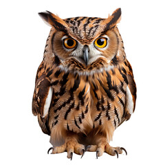 Obraz premium great horned owl png. brown owl png. owl png. owl isolated png