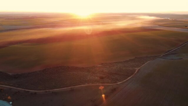Aerial drone shot view. Sunset footage of field. Traveling movement. Beautiful landscape, grass, orange trees in fall.	
Castilla la mancha, Spain