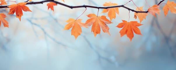 Beautiful frozen branch with orange and yellow maple leaves in the forest. Autumn winter background