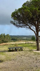 Panorama of a beautiful city park. Portugal