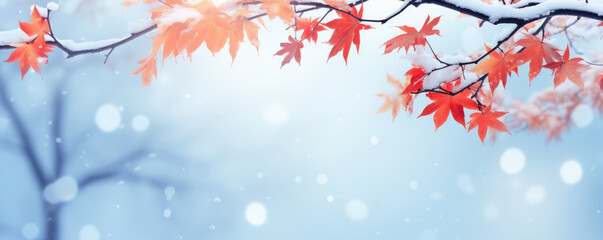 Beautiful frozen branch with orange and yellow maple leaves in the forest. Autumn winter background