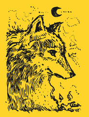 Beautiful wolf drawing. Magical illustration with ink. Graphic art. The head of the wolf. - 672141444