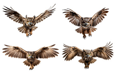owl in flight png. owl isolated png. owl flying with wings spread png. brown owl png. owl png - obrazy, fototapety, plakaty