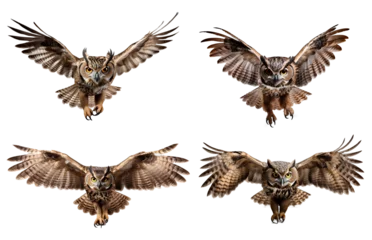 Gordijnen owl in flight png. owl isolated png. owl flying with wings spread png. brown owl png. owl png © Divid