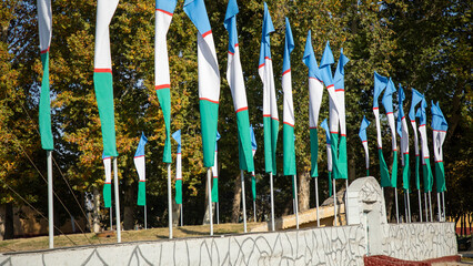 groups of Uzbek flag near to each other
