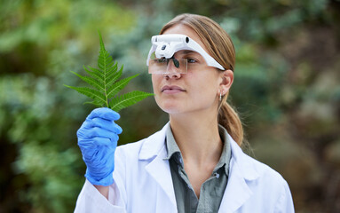 Science in forest, research and woman with leaves, studying growth of trees and sustainable plants...