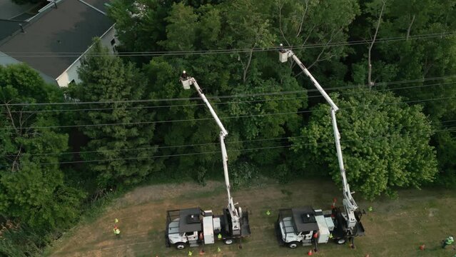 Wide shot. Safety tree trimming by work crew from company to keep tree limbs from encroaching on the electrical power lines. aerial shot