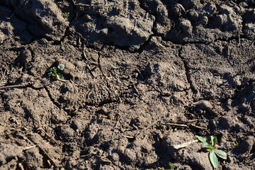 pattern of black soil isolated in sunny day 