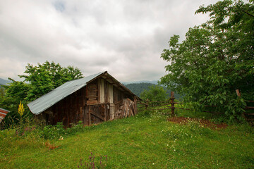 Summer landscape in (seven lakes) Yedigoller Park Bolu, Turkey