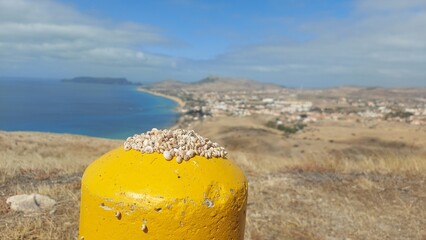 porto santo viewpoint, animals, snale, landscape