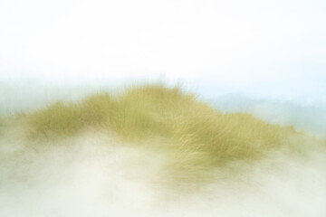 ICM (Intertional Camera Movement) photography on the dunes of Ameland - Wadden Islands - The Netherlands