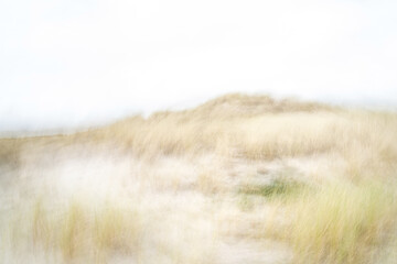 ICM (Intertional Camera Movement) photography on the dunes of Ameland - Wadden Islands - The...