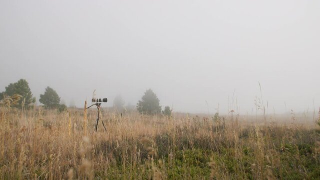 Camera and tripod filming nature with no people in frame in Rocky Mountains, Colorado