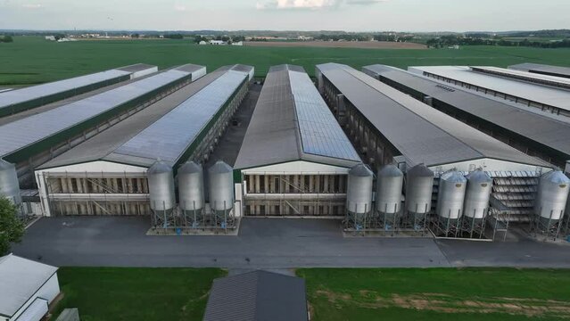 Chicken farm in USA. Aerial truck shot of factory farm with large chicken house barns with solar panels on roof.