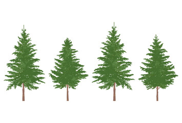横に並んだ針葉樹のイラスト