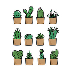 Cactus cute