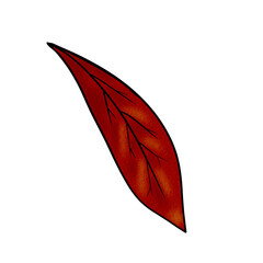 Fall and Thanksgiving clipart set