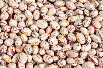 Variegated bean grains collected in one place.