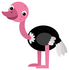 Cartoon happy animal bird ostrich safari isolated illustration for children