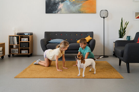 Cute Kids Looking Down While Standing On Hands Knees On Carpet In Living Room With Sofa Set Potted Plant Bookshelf And Pet Dog In Daylight At Home