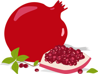 illustration of pomegranate with leaves
