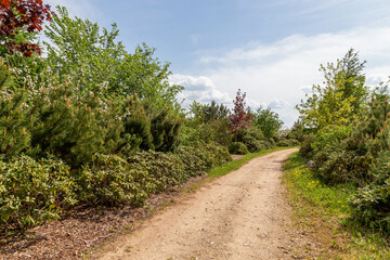 Fototapeta na wymiar A path in memorial park Liktendarzs in Koknese.