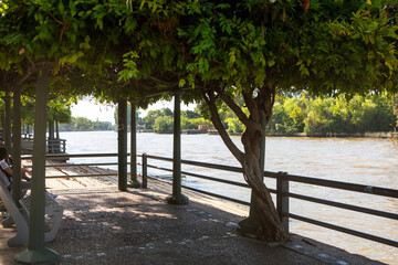 beautiful view of the Trigre River in Argentina