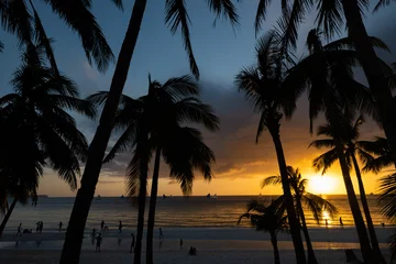 Keuken foto achterwand Boracay Wit Strand (Selective focus) Stunning view of a dramatic sunset in the background and the silhouette of coconut palm trees in the foreground. White Beach, Boracay Island, Philippines.