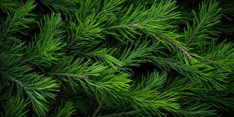 Fototapeta na wymiar Image Of Coniferous Branches And Needles For Wallpaper And Background Created Using Artificial Intelligence