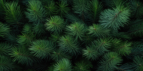 Naklejka na ściany i meble Image Of Coniferous Branches And Needles For Wallpaper And Background Created Using Artificial Intelligence