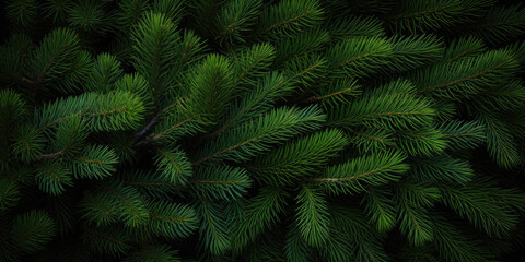 Image Of Coniferous Branches And Needles For Wallpaper And Background Created Using Artificial Intelligence