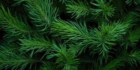 Fototapeta na wymiar Image Of Coniferous Branches And Needles For Wallpaper And Background Created Using Artificial Intelligence