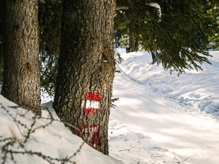 Empty tourist path in a forest during winter, snow covered, with red tourist marking sign