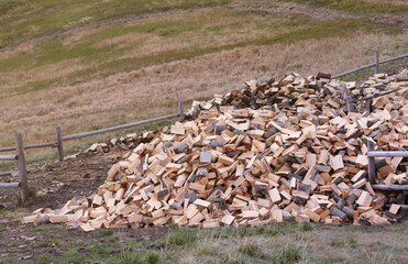 Firewood stacked near the wooden wall of old hut. Many chopped logs of firewood close up
