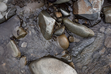 The Carpathian region of Ukraine near the village of Yaremche