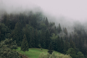 The Carpathian region of Ukraine near the village of Yaremche