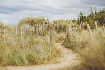 Omaha Beach, romantic path in the dunes
