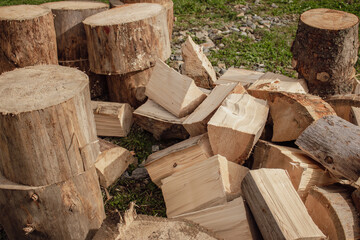 Stack of firewood. Wooden trunk and logs on green grass. Woodpile background. Stacked wood. Wooden...