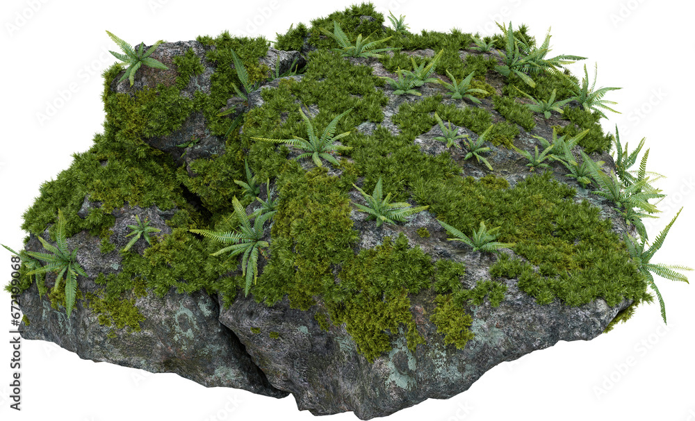 Poster moss plants on stone. 3d rendering of isolated objects.