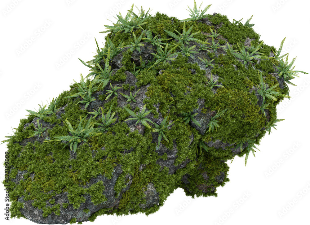 Poster moss plants on stone. 3d rendering of isolated objects.
