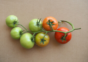Red and green tomatoes