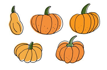 Pumpkin Sketch. Set of vector colored illustrations. Hand drawn in doodle style.