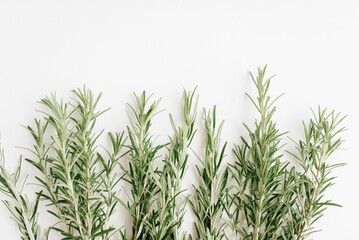 Sprigs of fresh rosemary on a white background. Fragrant rosemary top view.