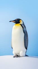Portrait of emperor penguin on natural background. Minimalistic concept. AI generated content.